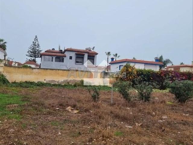 157804 Vente Terrain à Mohammédia Monica de 512 m²