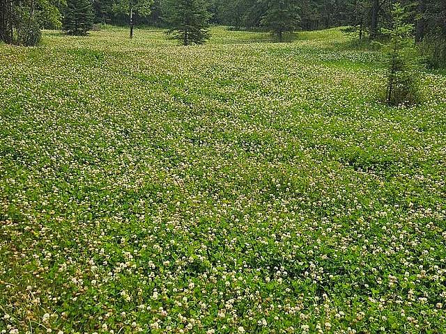 157 Acres