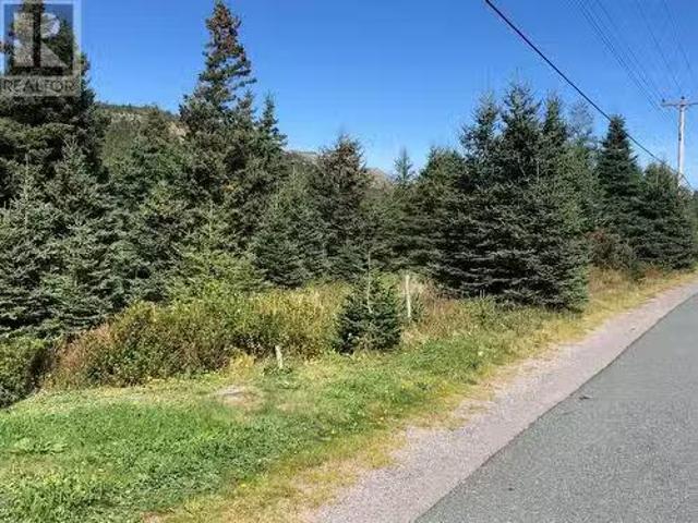 157 Seaforest Drive, Cupids, NL, A0A 2B0 vacant land for sal.