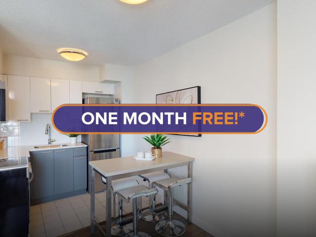 1580 Haro 1580 Haro Plan B [object Promise] for Rent