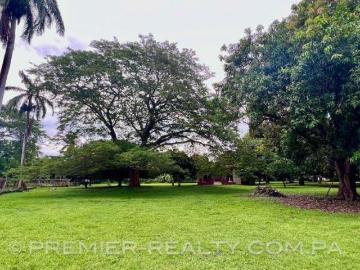 15,000 m2 A 60 m DEL MAR ¡PRECIO REDUCIDO!