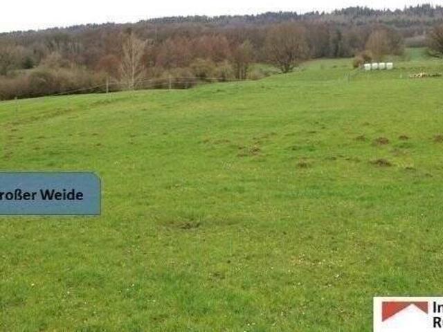 15.000m² großer Resthof mit Weide, Stallungen und Scheune im Auetal Nähe Hannover