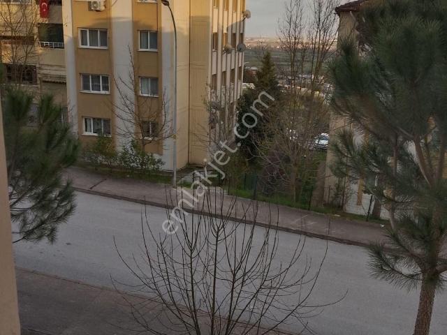 15 Temmuz Camili Mahallesinde Valilik Kampüsüne Yakın Konumda Satılık Daire