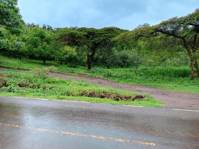 15 acres for sale in Goldhandas area