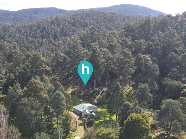 15 Acres on Permanent Stream