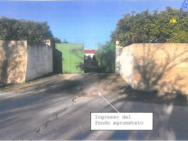 15 Aranceto con rudere AVOLA
