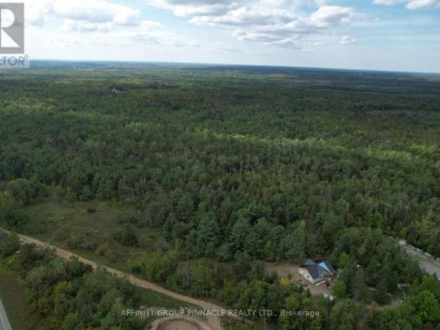 15 Ferguson Road, Kawartha Lakes Bexley, ON, K0M 2B0 vacant land for sale | Listing ID X13501 | Royal LePage
