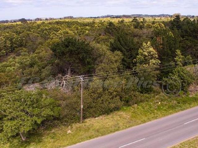 15 ha Land available in Port Elizabeth Central