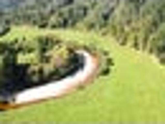 15 Hectares Private Lifestyle Block