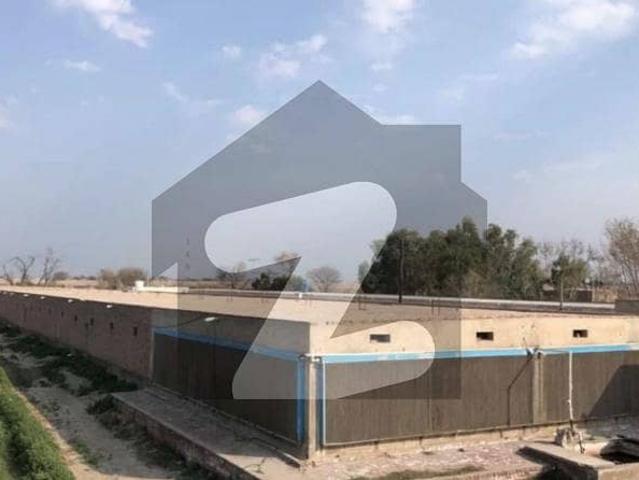 15 Kanal Control Shed 43000 SQF Covered Area For Sale In Khanuana Faisalabad