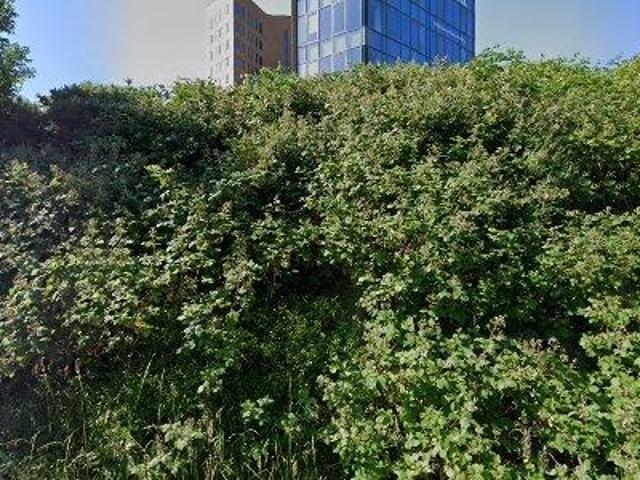 15 m2 office space for rent in Rotterdam Prins Alexander