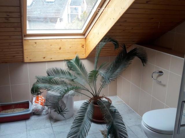15 m²