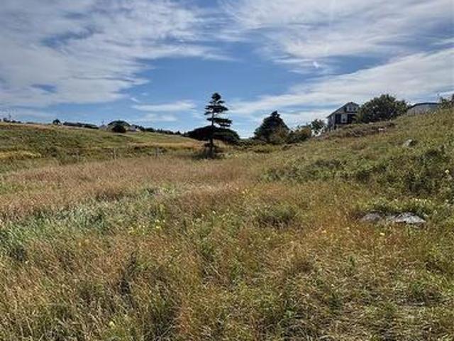 15 Main Street, Elliston, NL, A0C 0A7 vacant land for sale | Listing ID 1293 | Royal LePage
