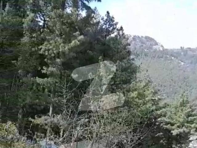 15 Marla Heighted plot Murree, Barian Near Kali Mitti Stop Basic Health Unit