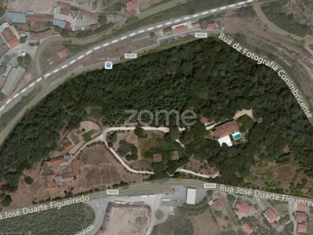 15 quarto, Mealhada Mealhada 104124486