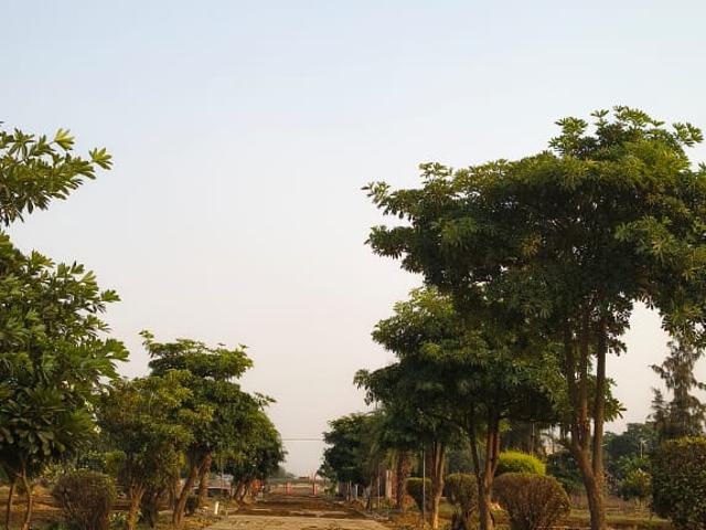 1600 Sq.Ft. Plot in Jattari Aligarh Listing ID: #10280