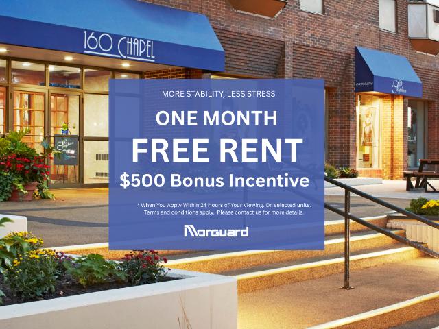 160 Chapel 1 Bedroom [object Promise] for Rent