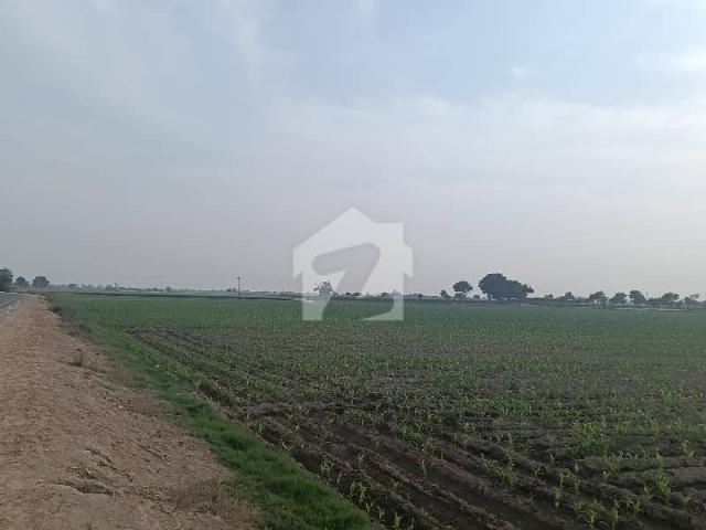 160 Kanal Agricultural Land Available In Khanewal Road For Sale