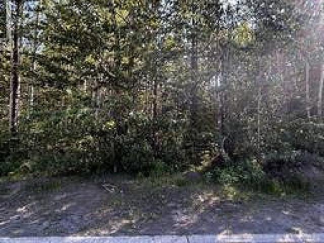 160 Murray Drive Tumbler Ridge, British Columbia