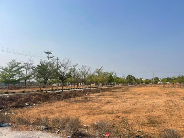 160 Sq.Yd. Plot in Sector 76 Faridabad Listing ID: #9498