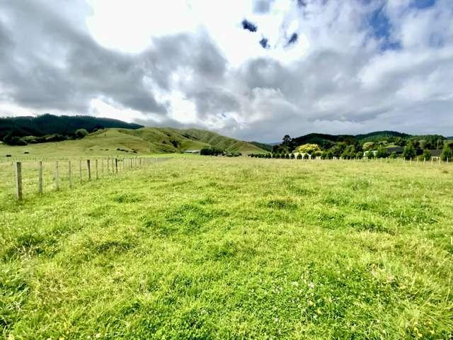 161, 167, 169 Gladstone Road, Levin, Horowhenua