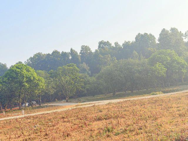 1622 Sq.Ft. Plot in Baronwala Dehradun Listing ID: #10259