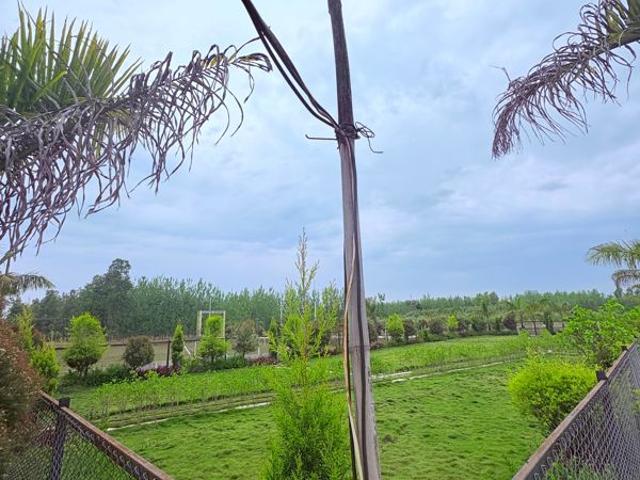 162 Sq.Ft. Plot in Biharigarh Dehradun Listing ID: #10370