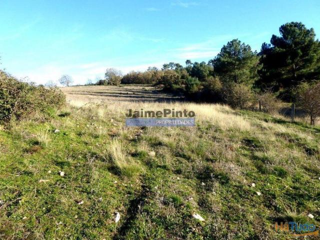 163.000m2 terra p/ plantações novas. Portugal, Douro Interior, F. C. Rodrigo. | 26083726467