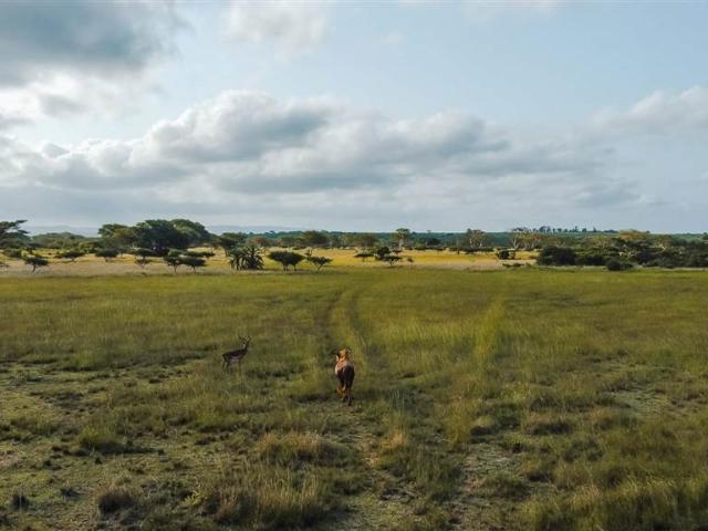 163.4 ha Farm in Hluhluwe