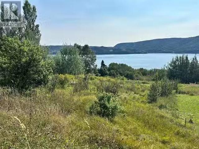 163 North Shore Highway, Meadows, NL, A2H 6B9 vacant land fo.