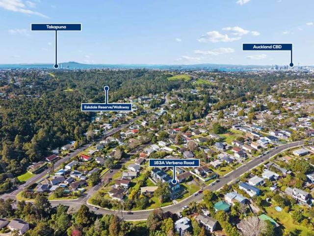 163A Verbena Road, Birkdale, North Shore City