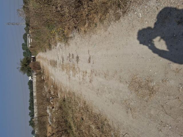 164 Sq.Mt. Plot in New Moradabad Listing ID: #10246