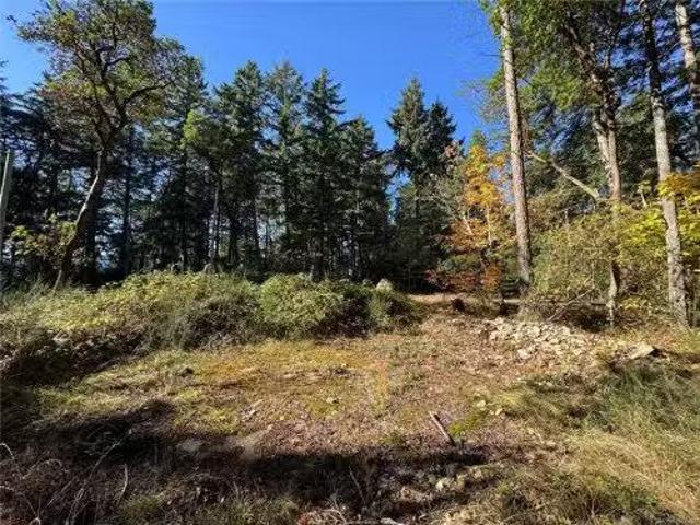 164 Pirates Lane, Protection Island, BC, V9R 6R1 vacant land.