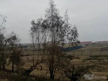 16500 m² – Villa Salvador vendemos 14,500 m2 – 16,500 m2 ideal almacenes
