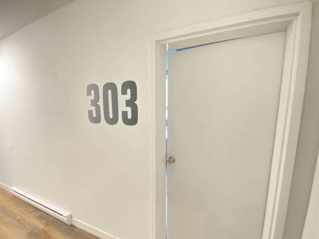 1650 Rue Sherbrooke Est 303 Montréal QC H2L 1M5 1 Bedroom Apartment for Rent for 1600 month