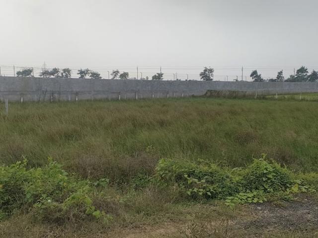 1650 Sq.Ft. Plot in Buja Nellore Rural Nellore Listing ID: #9954