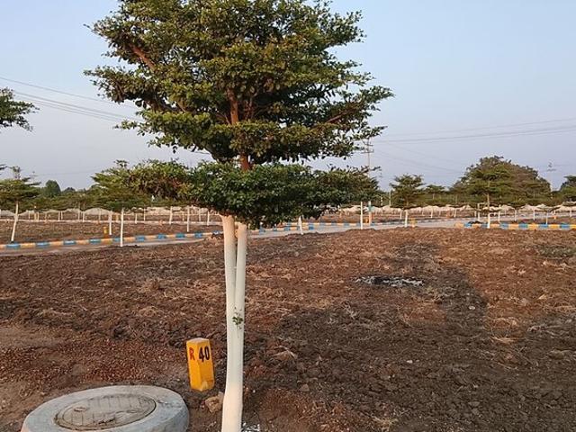 165 Sq.Yd. Plot in Sangareddy Hyderabad Listing ID: #10173