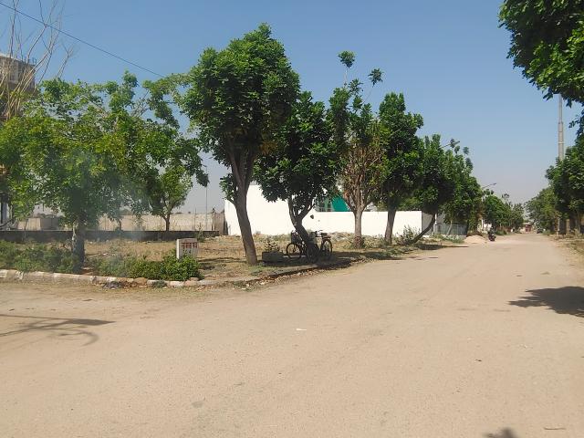 166 Sq.Yd. Plot in Gokulpura Jaipur Listing ID: #9431