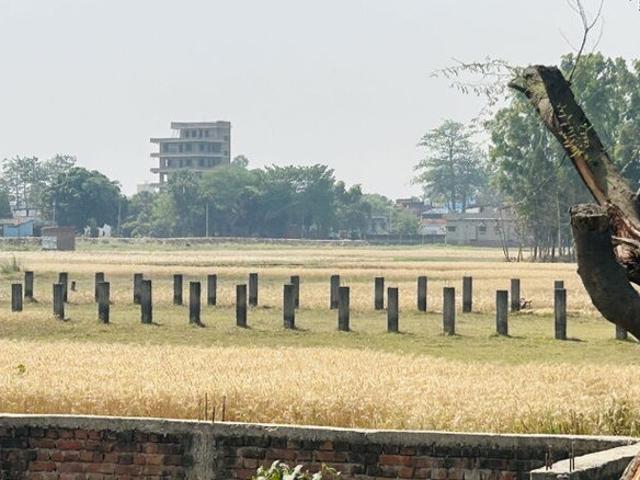 1675 Sq.Ft. Plot in Baronwala Dehradun Listing ID: #10259
