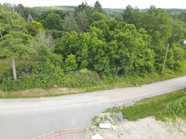 167 Spruce Lane