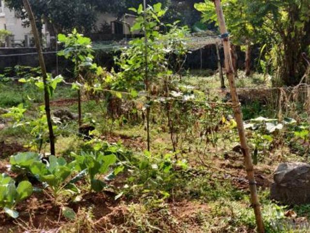 1685 Sq. ft Plot for Sale in Mulanthuruthy, Kochi