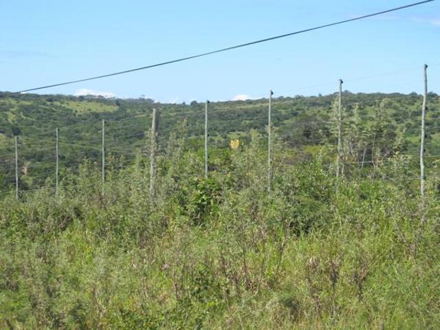168.2 ha Land available in Kwelera