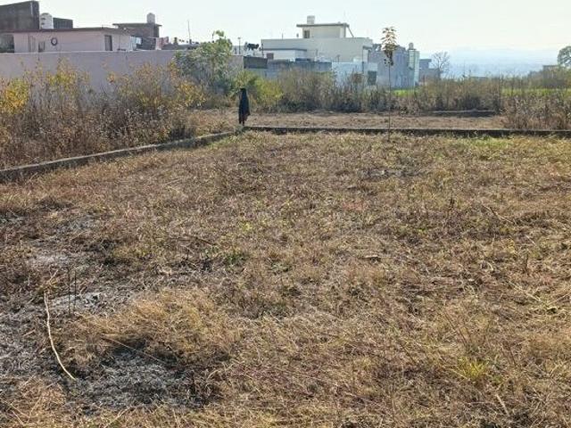 168 Sq.Yd. Plot in Chandrabani Dehradun Listing ID: #10079
