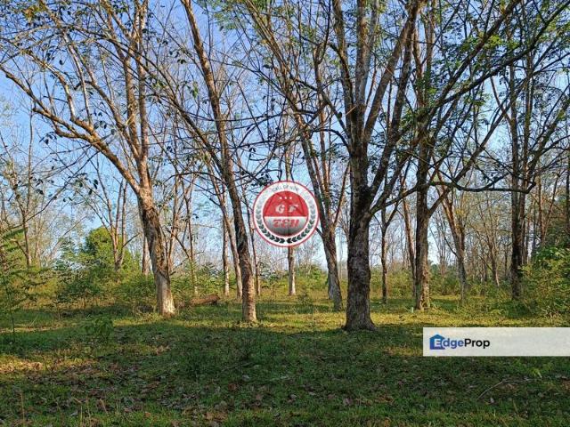 16.45 acre | Agricultura Land RM3.20 psf