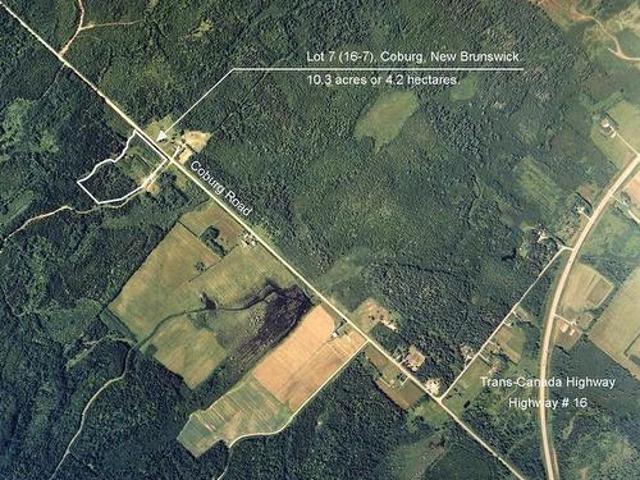 16 7 Coburg Rd, Coburg, NB, E4M 1M7 vacant land for sale | Listing ID NB146562 | Royal LePage