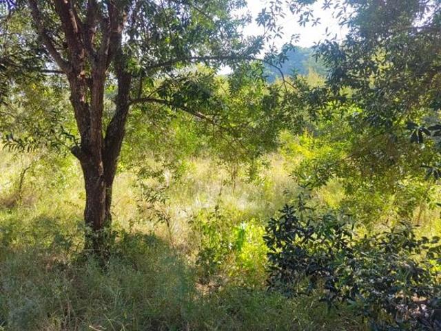 16.8 ha Land available in Nelspruit Central