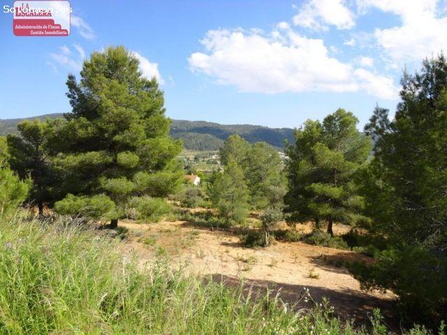 16.000M2 EN IBI, POSIBILIDAD DE CONSTRUIR