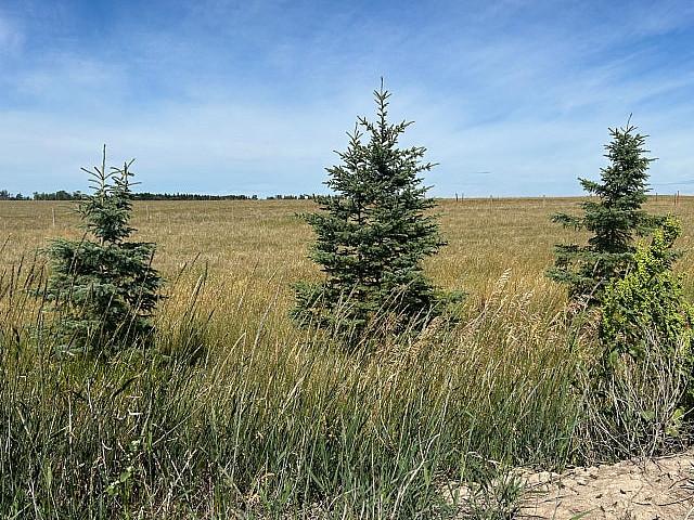 16 Acres For Sale