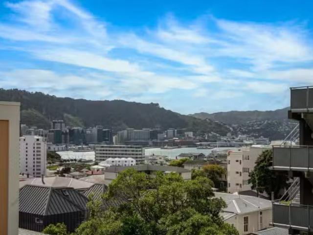 16 Austin Street, Mount Victoria, Wellington City
