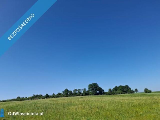 16 ha ziemi Gorzanów